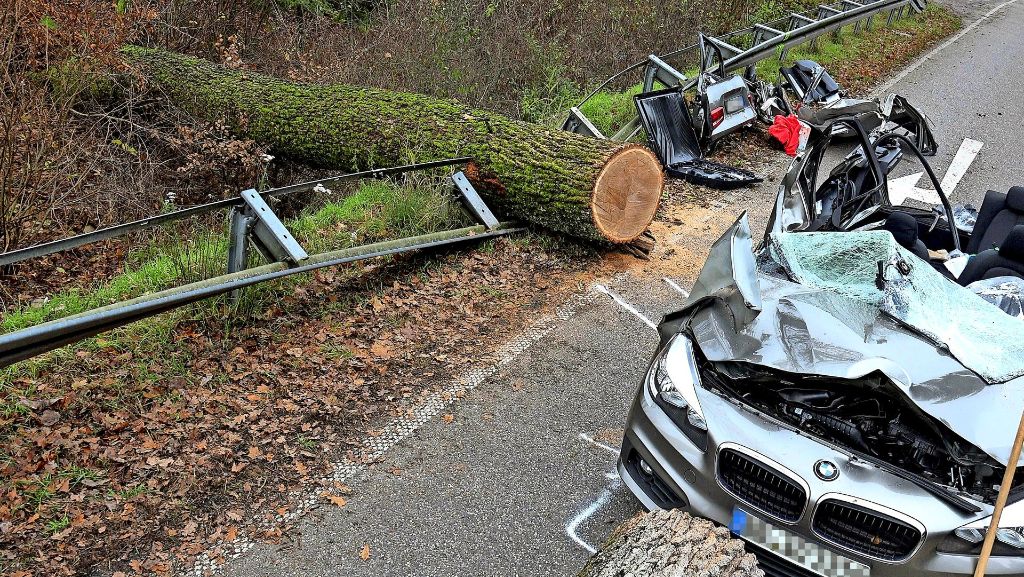 Umgestürzter Baum in Sindelfingen: Hilfsaufruf nach tödlichem Unfall