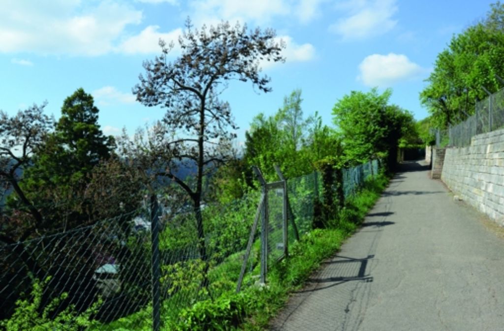 Der Blaue Weg 7 führt vorbei an Gärten und Grundstücken.