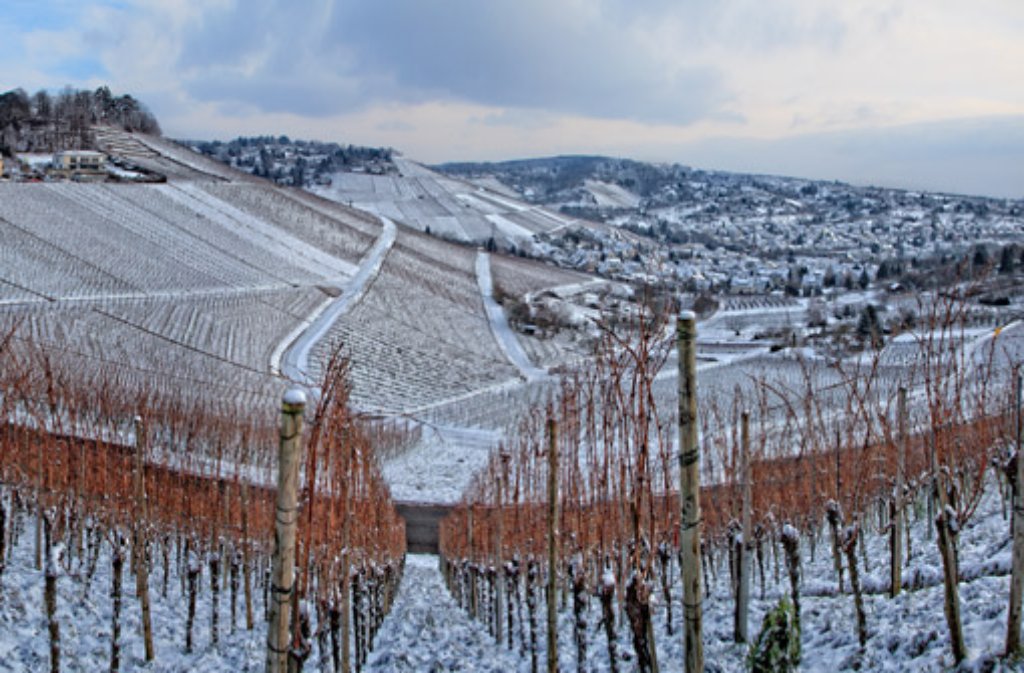 Schnee schmückt die Weinberge in Stuttgart-Rotenberg.