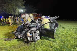 Auto prallt gegen Baum –  Fahrer schwer verletzt