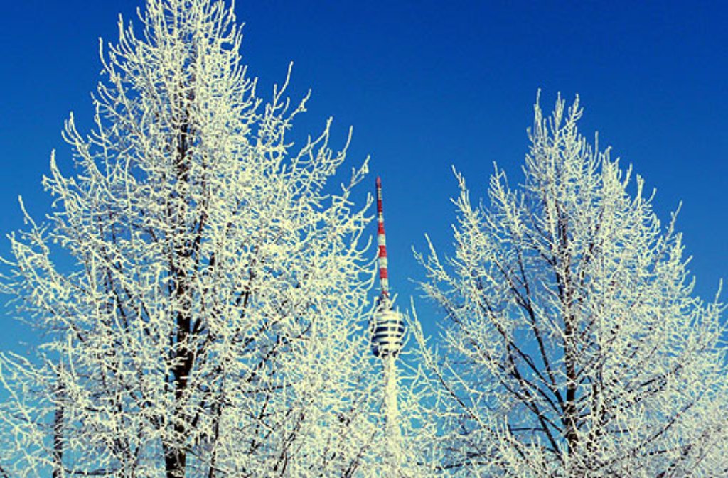 Der Fernsehturm im Winterlook - festgehalten von Angelika Beinert.