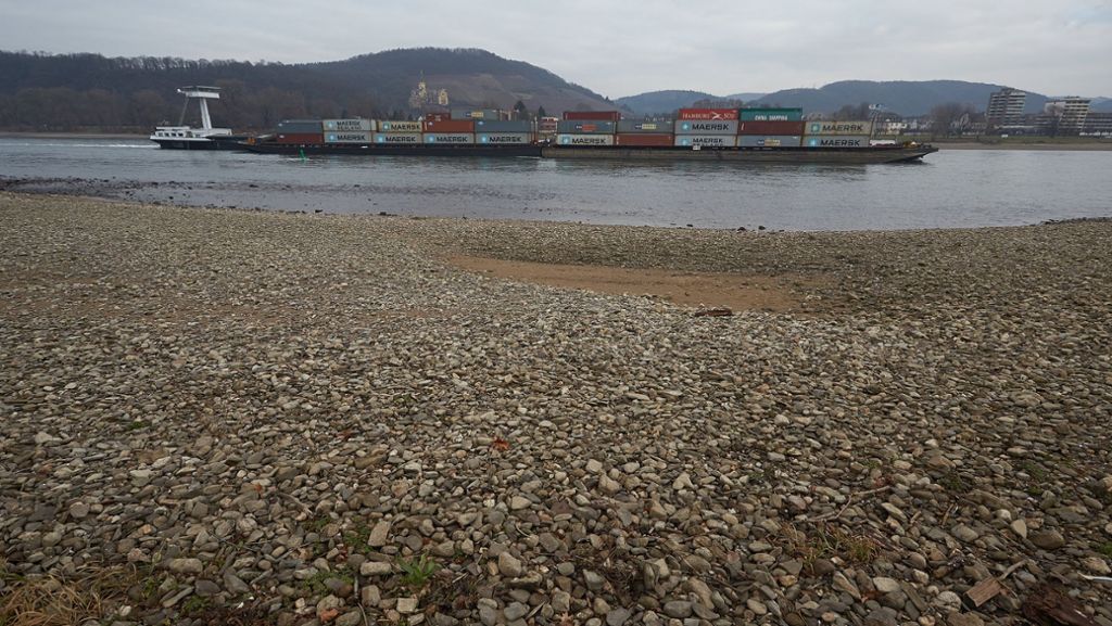Niedrigwasser im Rhein: Gütertransporte verlagern sich auf Straße