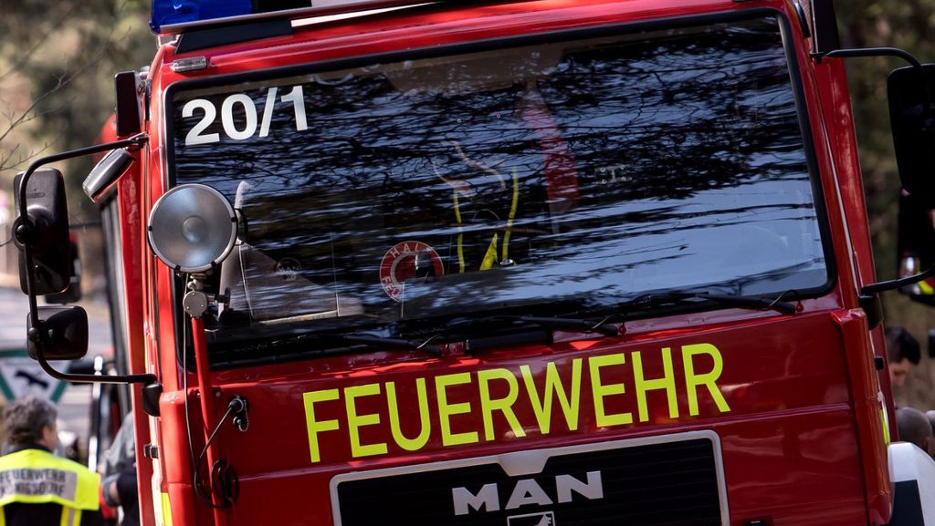Zwischenfall in Konstanz: Feuerwehr befreit Disco-Besucher aus Dornenhecke