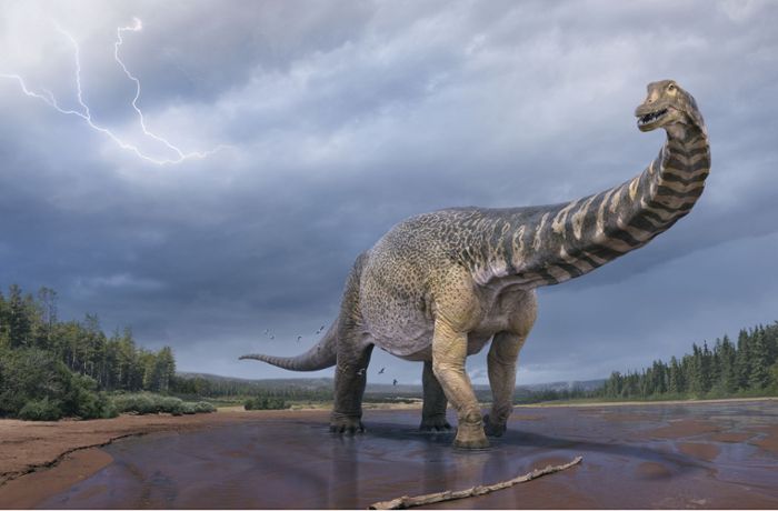 Ein Riesen-Dino namens Cooper