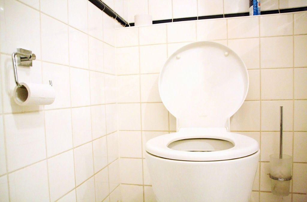 Feuchttücher, Wattestäbchen, Essensreste oder Kondome landen immer wieder in der Toilette – und sorgen dann für Probleme. Was darf man ins Klo werfen – und was auf keinen Fall? Mehr in der Bildergalerie. Foto: dpa/Philipp Brandstädter