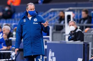 Huub Stevens kann Schalker Horror-Serie nicht stoppen