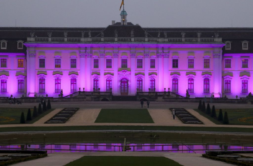 Schon zuvor wurde das Schloss für einen Aktionstag farblich beleuchtet.