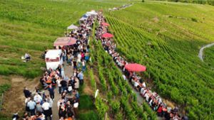 Fest in den Weinbergen von Mundelsheim: Hoch über dem Neckar lockt das Käsbergfest die Massen