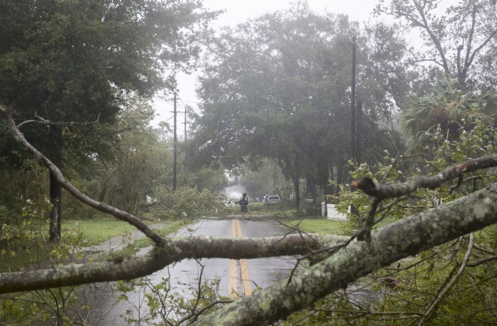 Kein Durchkommen mehr – umgestürzte Bäume blockieren eine Straße in Daytona Beach.