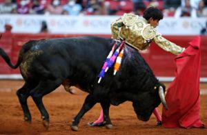 Gericht verbietet Stierkämpfe in größter Arena der Welt