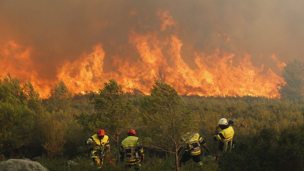 Waldbrände in Südfrankreich: 16-jährige Jungen wegen Brandstiftung festgenommen