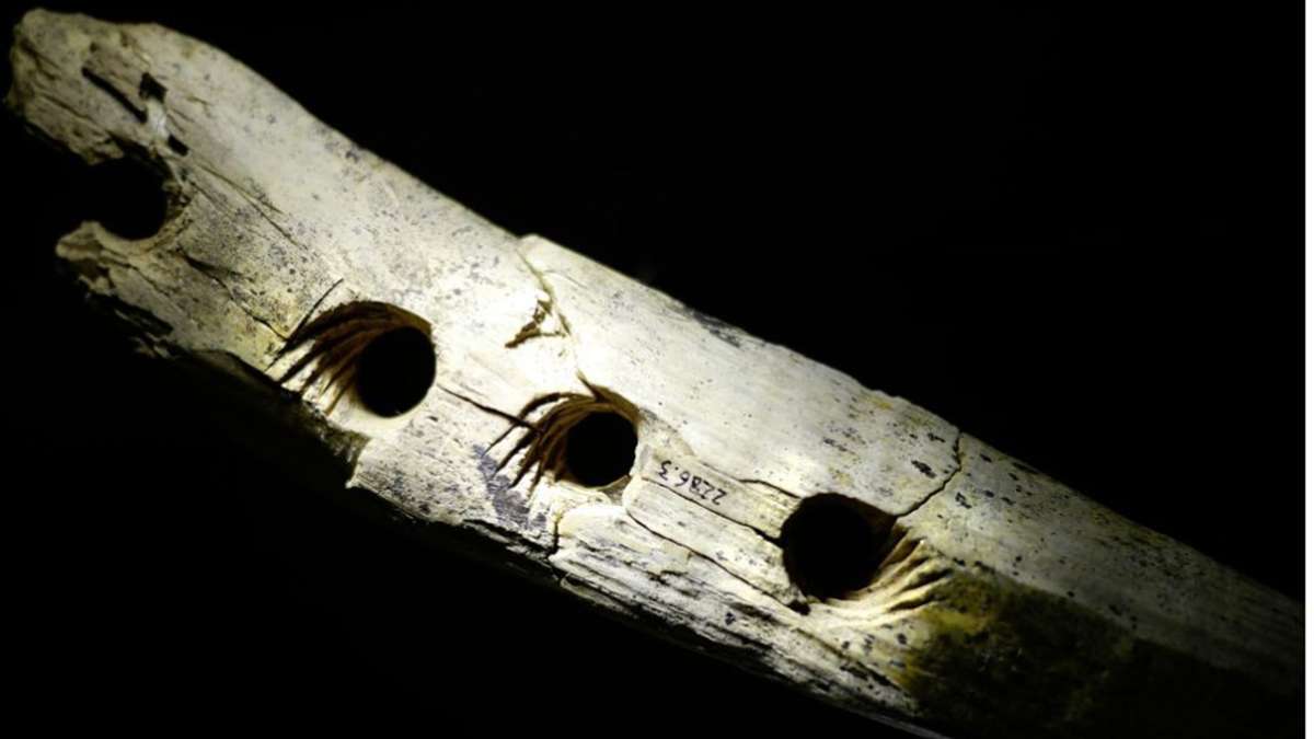 40 000 Jahre altes Seil-Werkzeug: Der Hightech-Fund von der Schwäbischen Alb