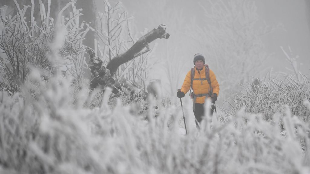 Schnee auf dem Feldberg: Skisaison im Schwarzwald steht in den Startlöchern