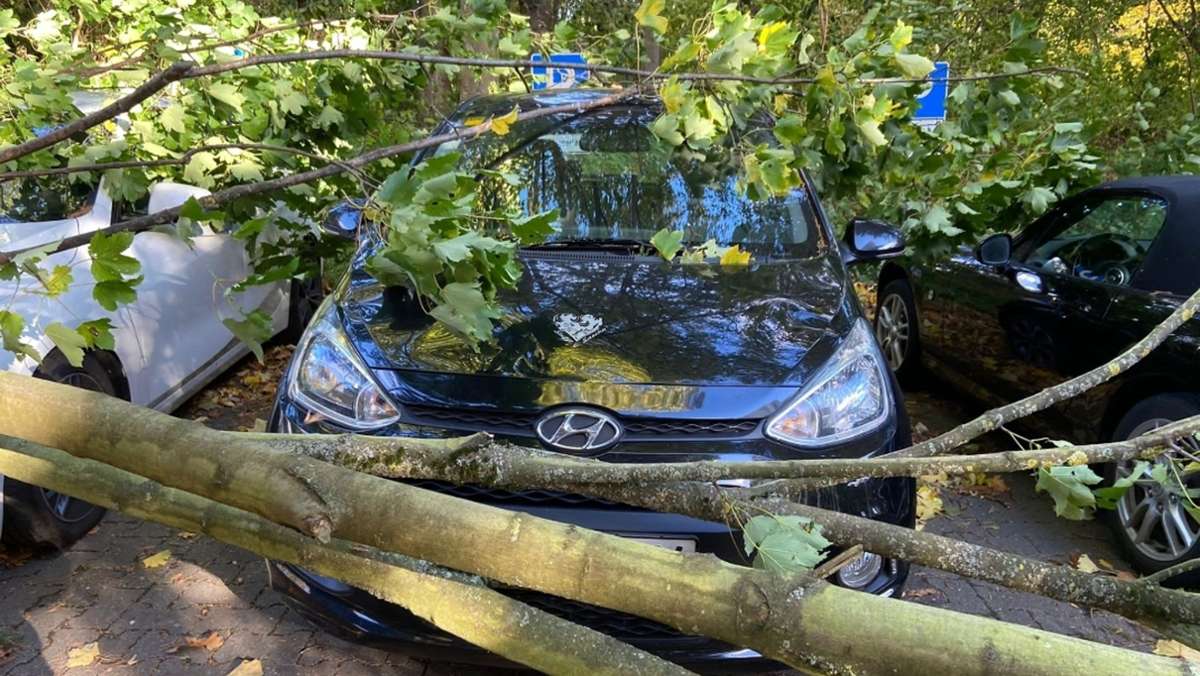Sturm im Rems-Murr-Kreis: Bäume fallen auf Autos