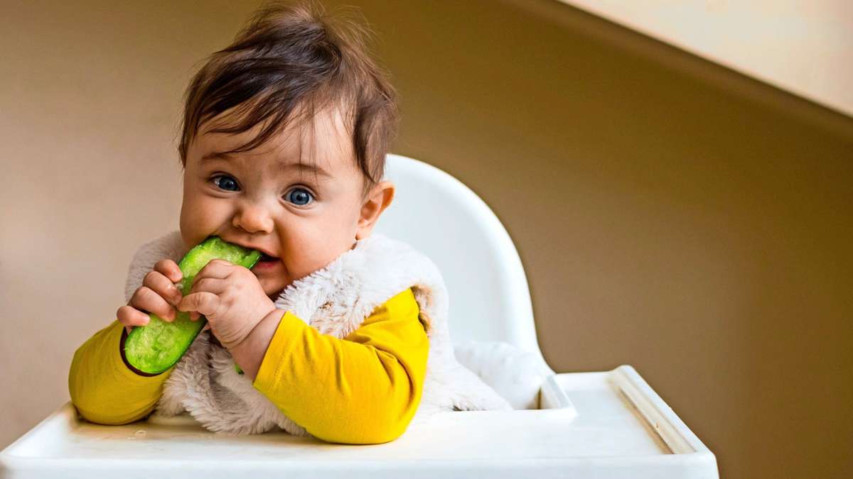 Kinder vegan ernähren: „Es ist wichtig, Lebensmittel geschickt miteinander zu kombinieren“