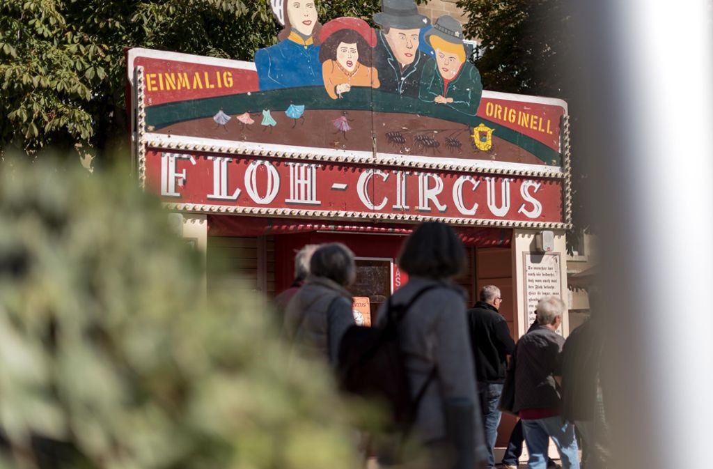 Der Floh-Circus in der Stadt.