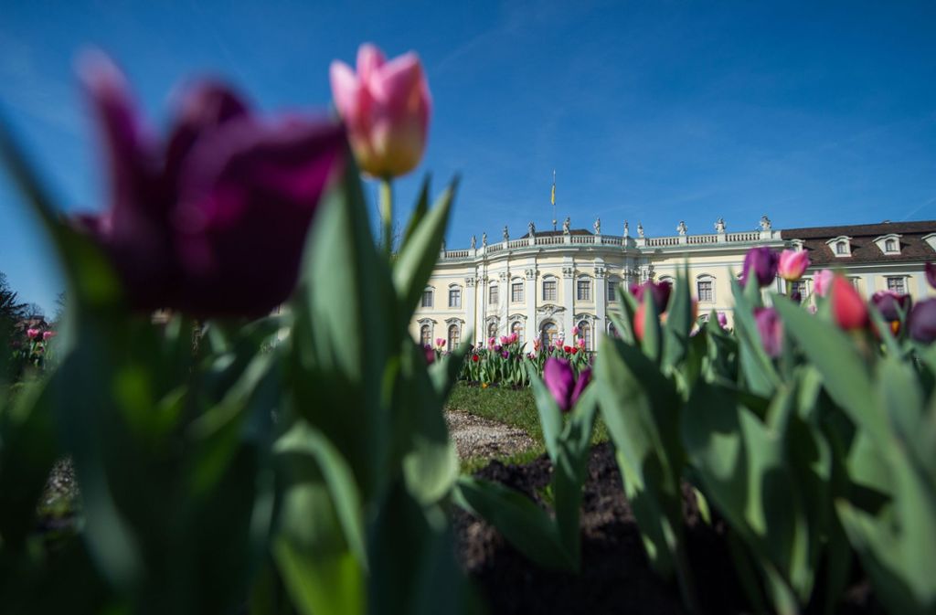 Über 300 000 Frühjahrsblüher geben den Besuchern ein Gefühl von Frühling.