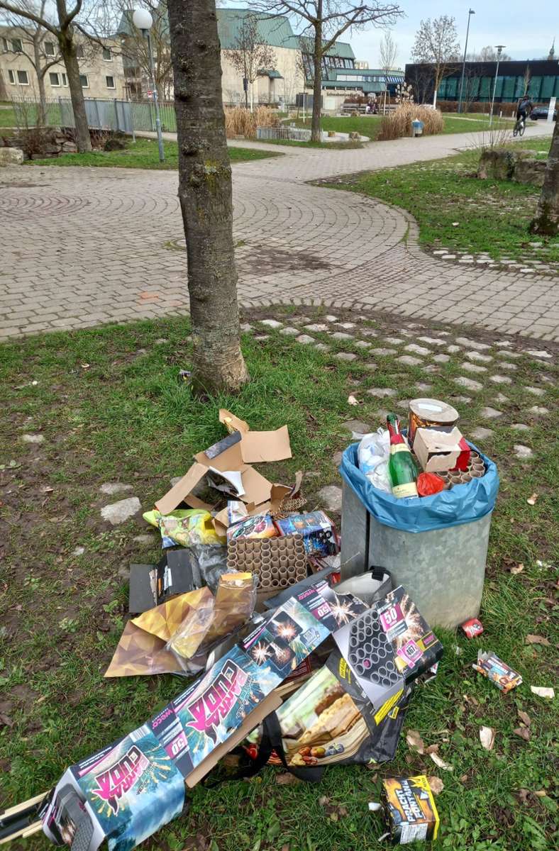 Überquellende Müllbehälter im Park.