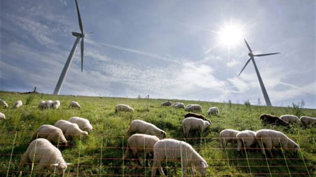 Windkraft und Sonne: Ökostromanteil bei 20 Prozent