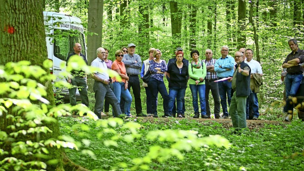 Waldbegehung in Renningen: Rote Augen im grünen Wald