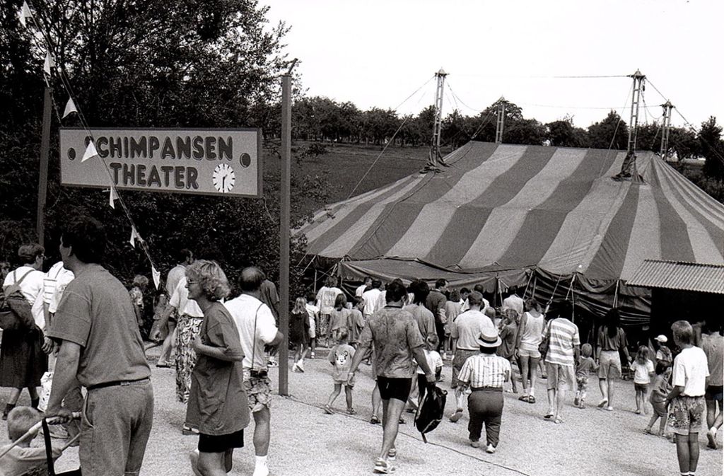 ... wurde der Freizeitpark in den 1980er Jahren in Schwabenpark umbenannt. Schimpansen sorgen für Lacher, ...