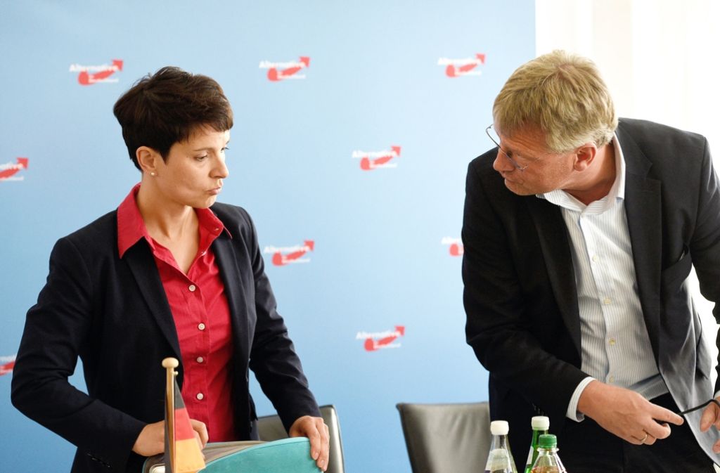 Frauke Petry und Jörg Meuthen stehen an der Spitze der AfD.