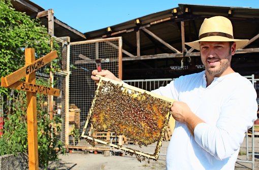 Tobias Miltenberger präsentiert stolz seine Bienen. Foto: Sophie Maier