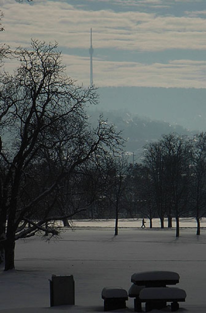 Der verschneite Rosensteinpark bildet die Kulisse für den Turm, den Marcus Lutz vor die Linse bekommen hat.