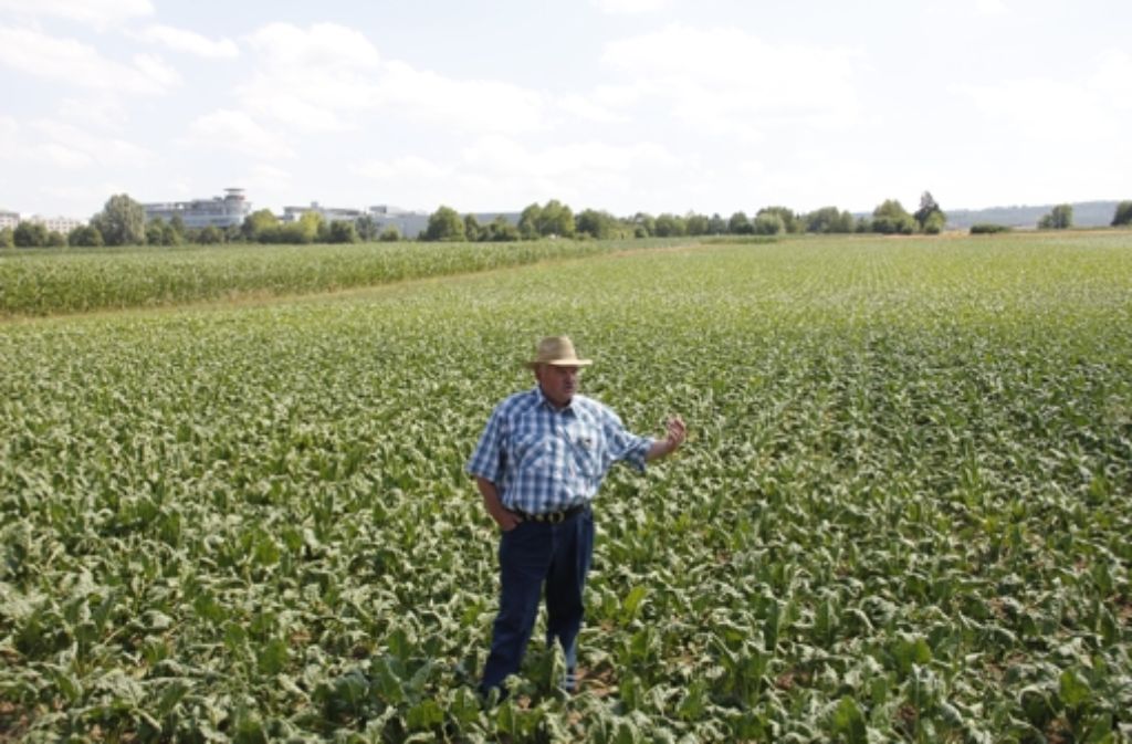 Der Ortsobmann der Weilimdorfer Landwirte berichtete auch über den Zustand der Zuckerrüben.
