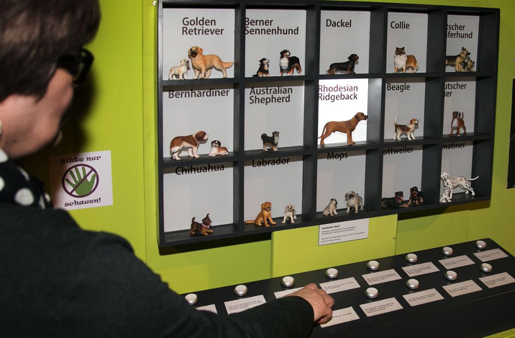 Beim Setzkasten-Spiel können Besucher ihr Hundewissen prüfen.