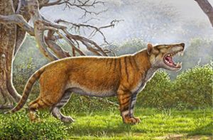 Unbekannter Riesenräuber aus der Urzeit