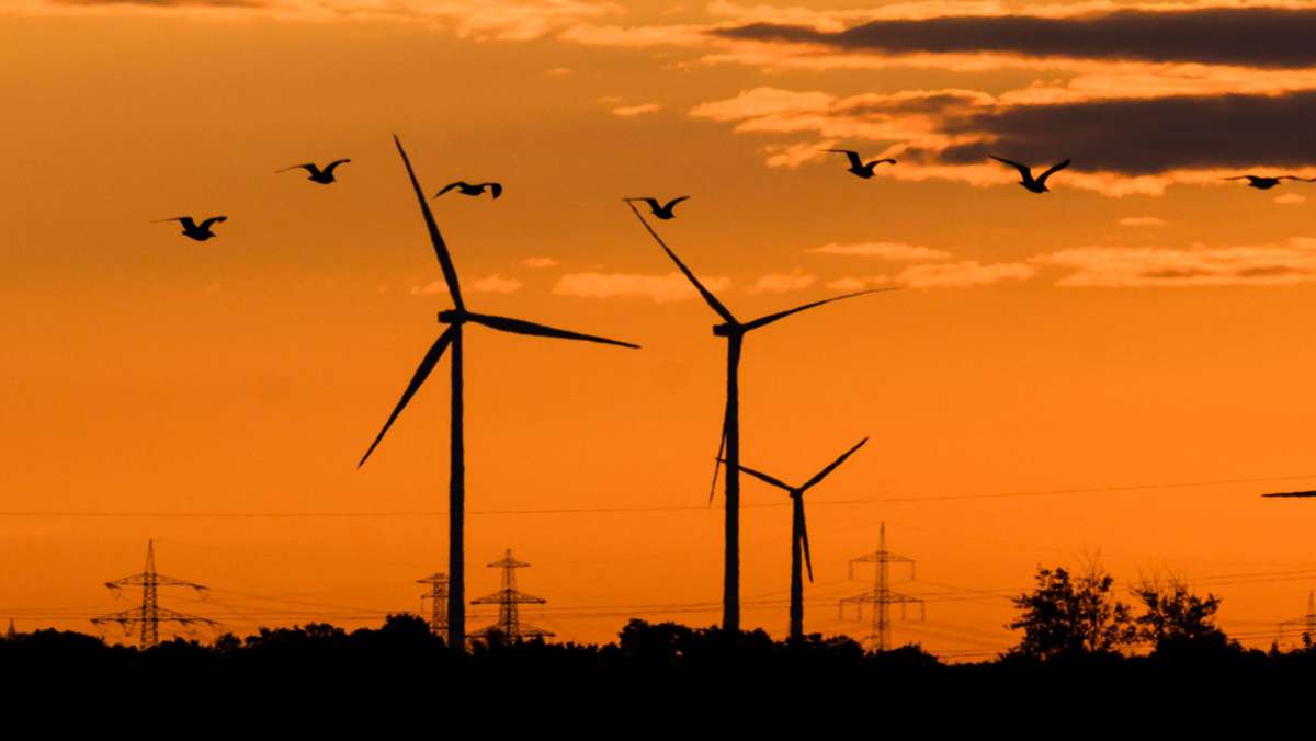 Klimaschutz: Bei diesen Projekten bremst Bürokratie die Energiewende aus