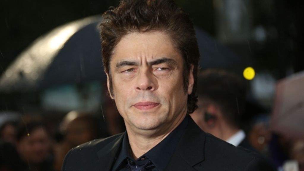 Hollywoodstar Benicio Del Toro: Dummheit schadet nicht