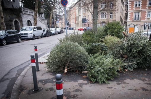 Auch in der Etzel-/Alexanderstraße wurden illegalerweise Christbäume entsorgt. Mittlerweile sind diese aber abgeholt worden. Foto: Lichtgut/Achim Zweygarth