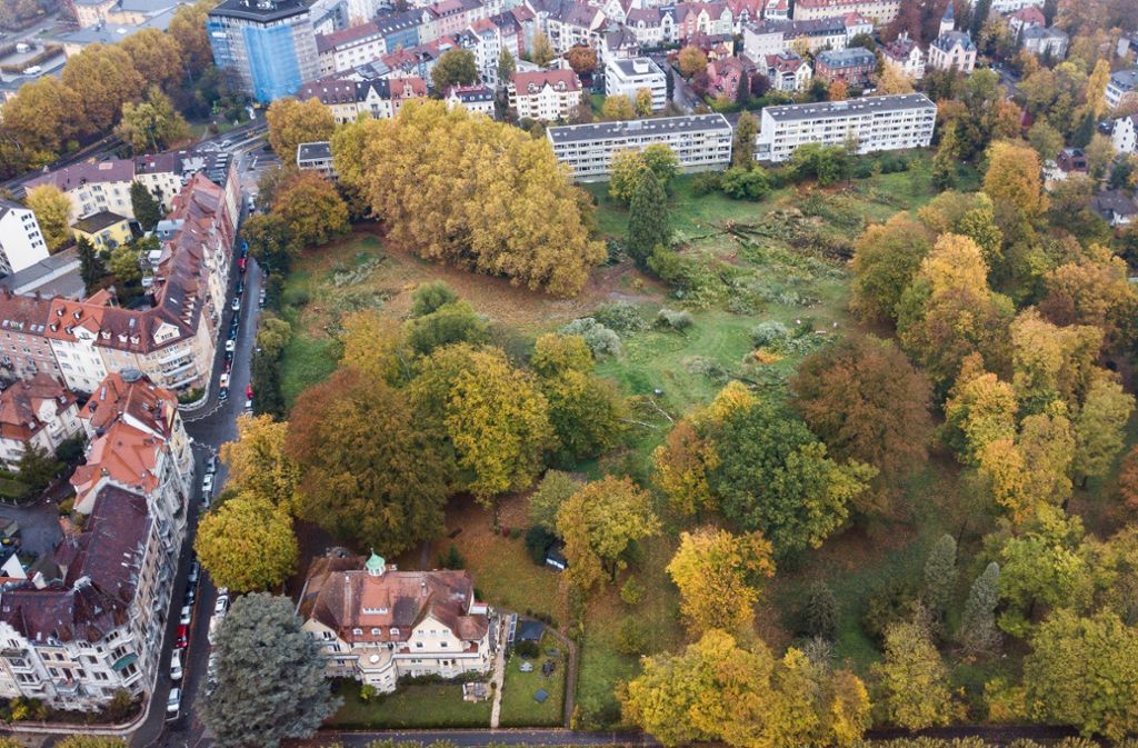 Im dicht bebauten Stadtteil Petershausen, der sich direkt gegenüber der linksrheinischen Altstadt befindet, ist das Büdingen-Areal eine vier Hektar große grüne Lunge.