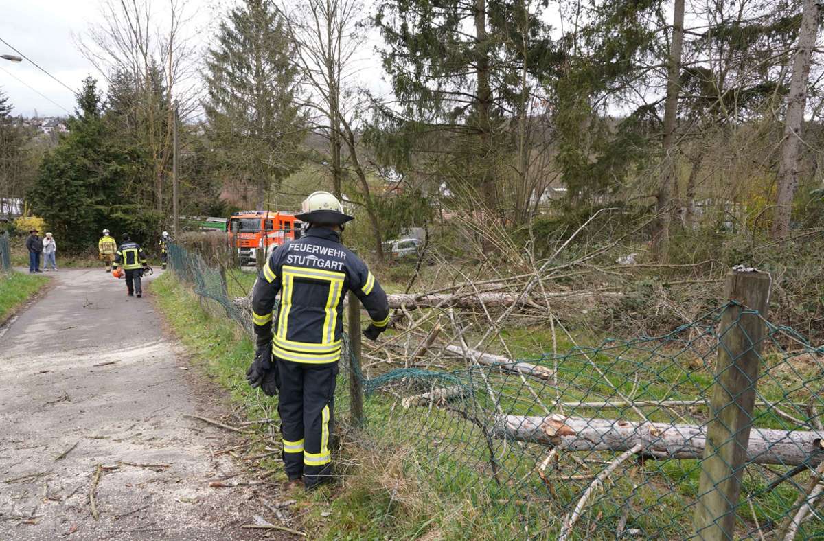An mehreren Stellen – wie hier in Feuerbach – muss sich die Feuerwehr um umgekippte Äste und Bäume kümmern.