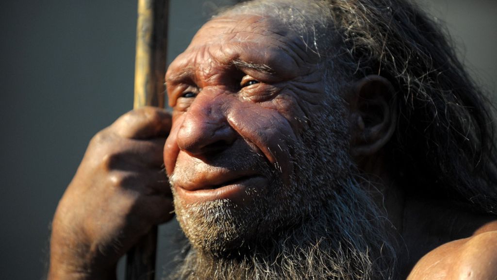  Schon die frühen Neandertaler lebten und ernährten sich erstaunlich flexibel, wie neueste Forschungsergebnisse beweisen. Wenn Fleisch Mangelware war, griffen die Frühmenschen auch zu vegetarischer Kost. 