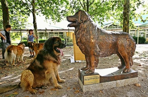Nur äußerst selten hat der Leonberger Hund auf dem Bürgerplatz Besuch. Foto: factum/Archiv