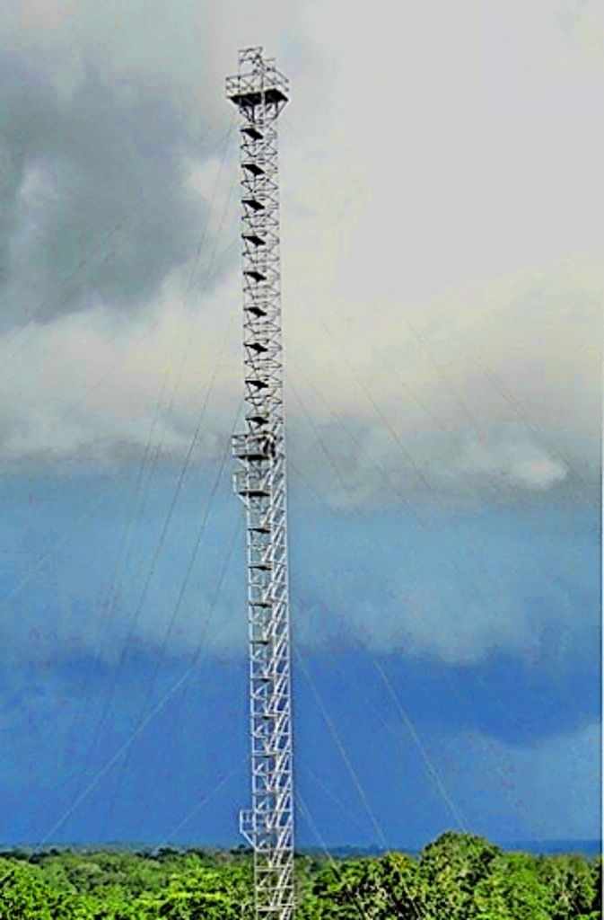 Dieser Vorgänger des geplanten 325 Meter hohen Messturms steht bereits: Rund 150 Kilometer von der Amazonas-Metropole Manaus entfernt ragt der 80 Meter hohe Turm aus dem Regenwald.