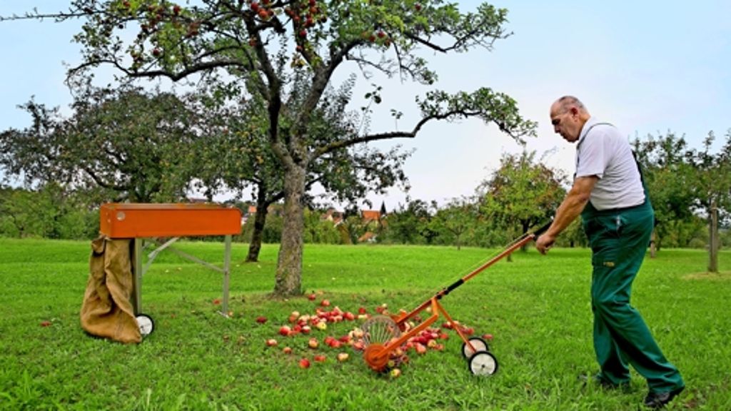 Gute Idee zur Erntezeit: Äpfel aufklauben –  fast ohne bücken