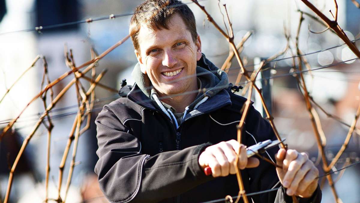 Weinanbau in Esslingen: Darum bereitet der milde Winter den Wengertern Sorge