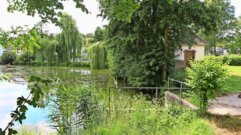 Brunnen in Heimsheim: Wasser als Investition für die Zukunft