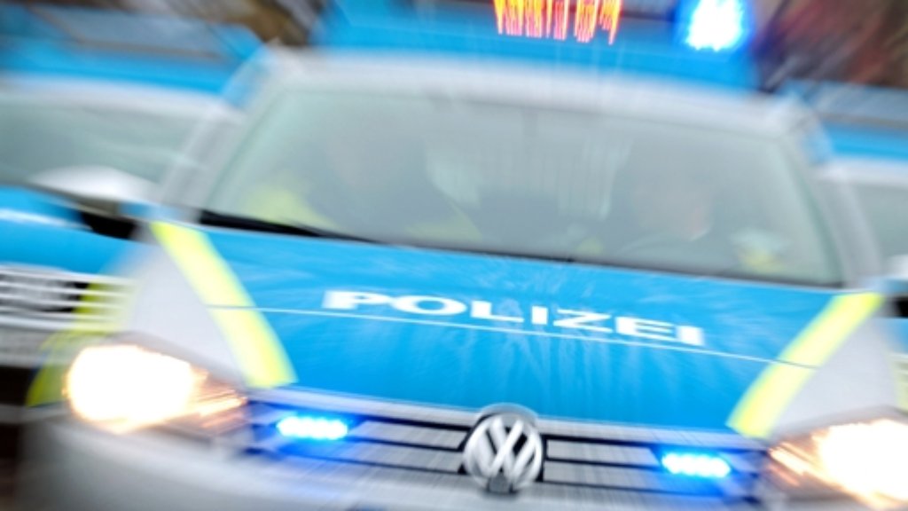 Marbach am Neckar: Autofahrer prallt gegen Ampel und stirbt