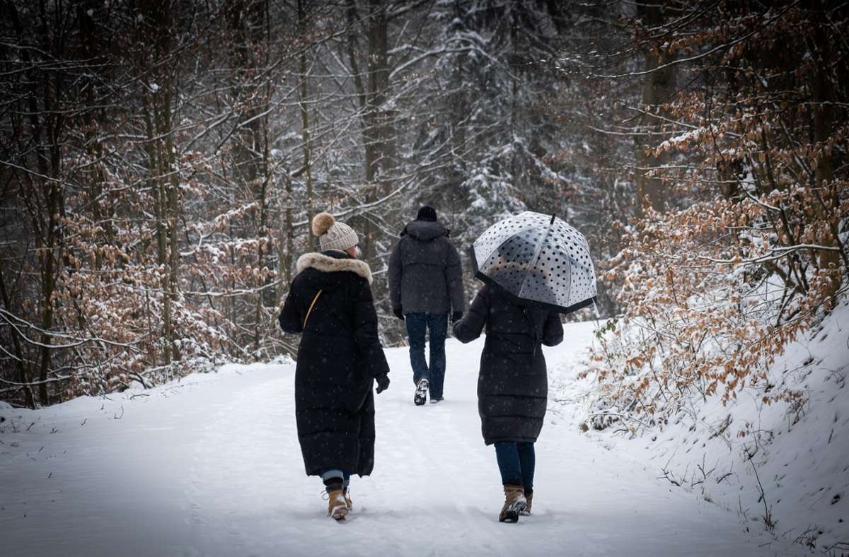 Schneespaziergänge im Wald erfreut viele Menschen.