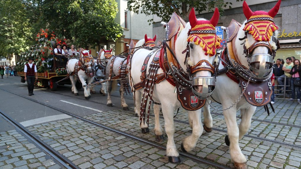 Wegstrecke des Volksfest-Umzugs: Vom Königsplatz zum Cannstatter Wasen
