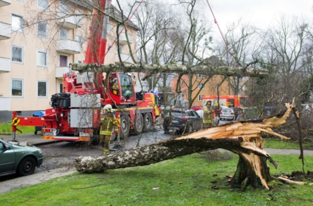 Feuerwehrkräfte entfernen mit einem großen Kran umgestürzte Bäume von einer Straße in Hannover (Niedersachsen).
