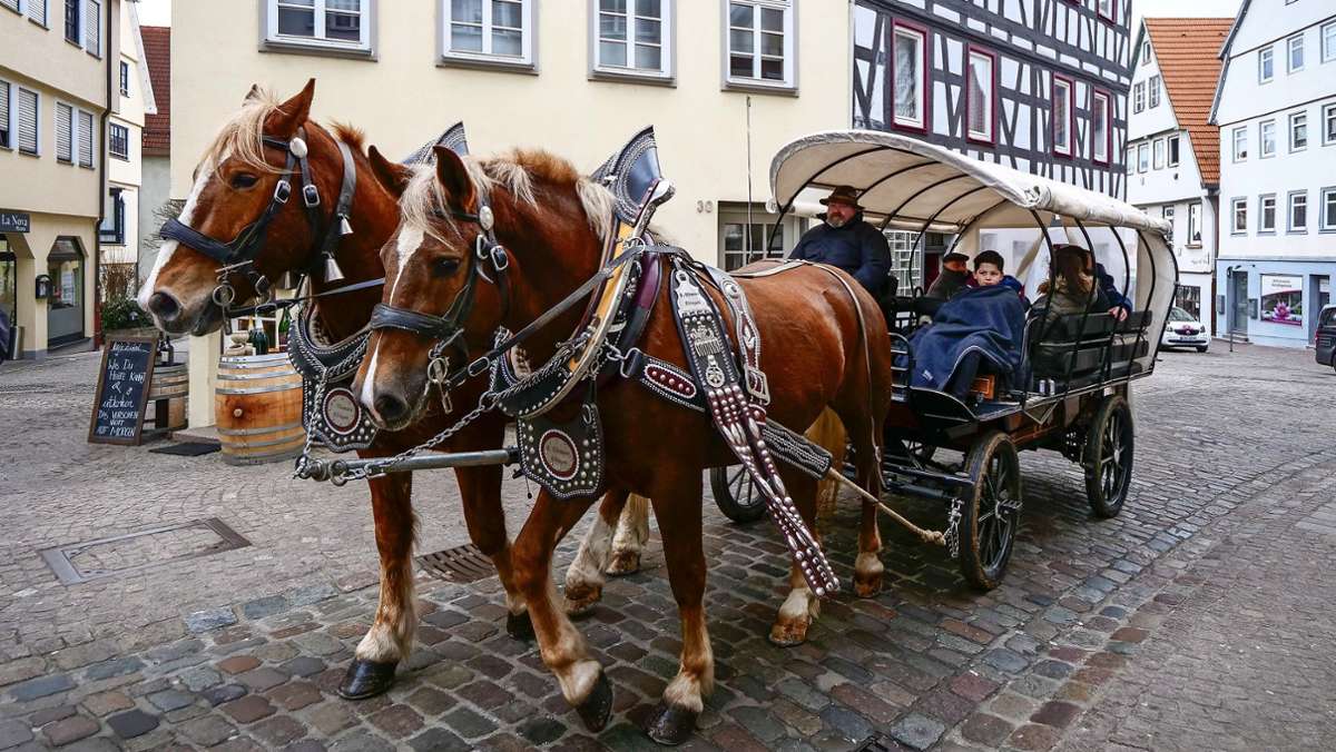 Leonberger Pferdemarkt: Ein kleiner Umzug muss sein