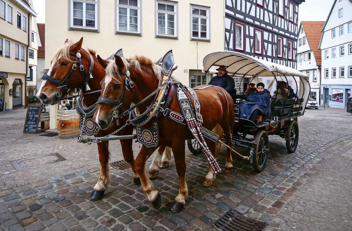Eine Zwei-Pferde-Show samt Kutsche  in der Altstadt Foto: Simon Granville