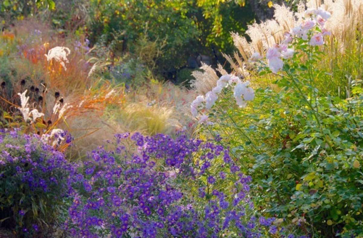 Verschiedene Farben und Pflanzenstrukturen geben dem Garten seinen Charme.