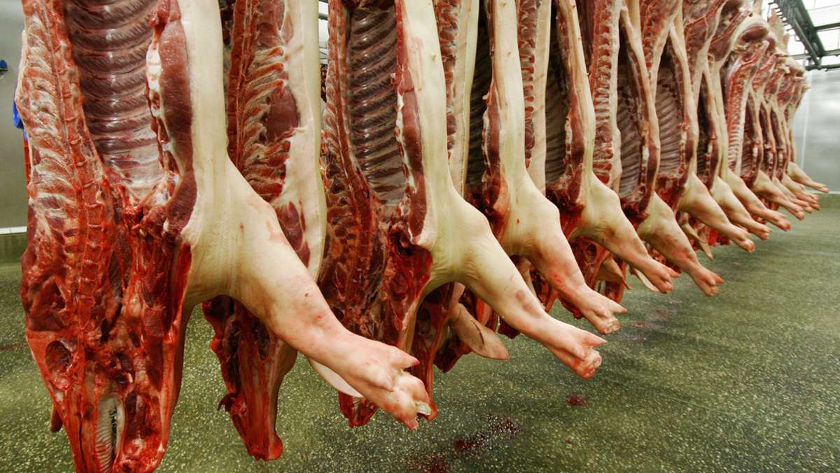  Union und SPD haben sich im Streit um ein Gesetz gegen die Ausbeutung in Schlachthöfen geeinigt. Der Kompromiss sieht Ausnahmen für das traditionelle Fleischhandwerk vor. 